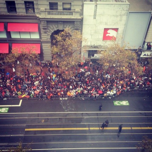 Fans wait on Market Street in anticipation of seeing the 2014 World Series Champions. |Photo by Dani Hutton