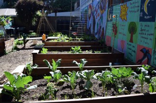 The Secret Garden is not the largest piece of land, but it is home to well over 15 different crops. (Eric Chan / Xpress)
