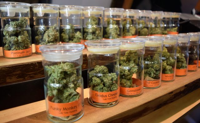 The Bloom Room in San Francisco has a wide variety of medical-grade cannabis on display. Eric Chan // Xpress Magazine