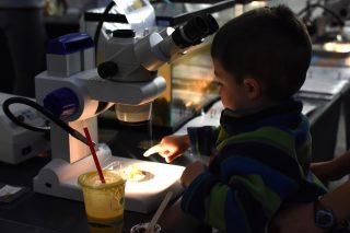 Isaac Hochstetler, 3, looks at a microscope at one of the stations set up for the Romberg Tiburon Center's Discovery Day on April 23 in Tiburon, CA. (Tate Drucker/Xpress)