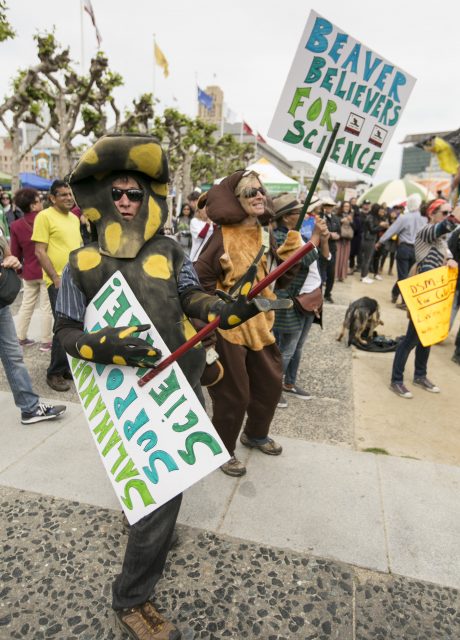 Brock Dolman (left) and Kerry Brady (right), dressed as a salamander and beaver rock out to live music at the Civic Center downtown San Francisco at the March for Science on Apr. 22, 2017. (Ryan Zaragoza  Xpress).