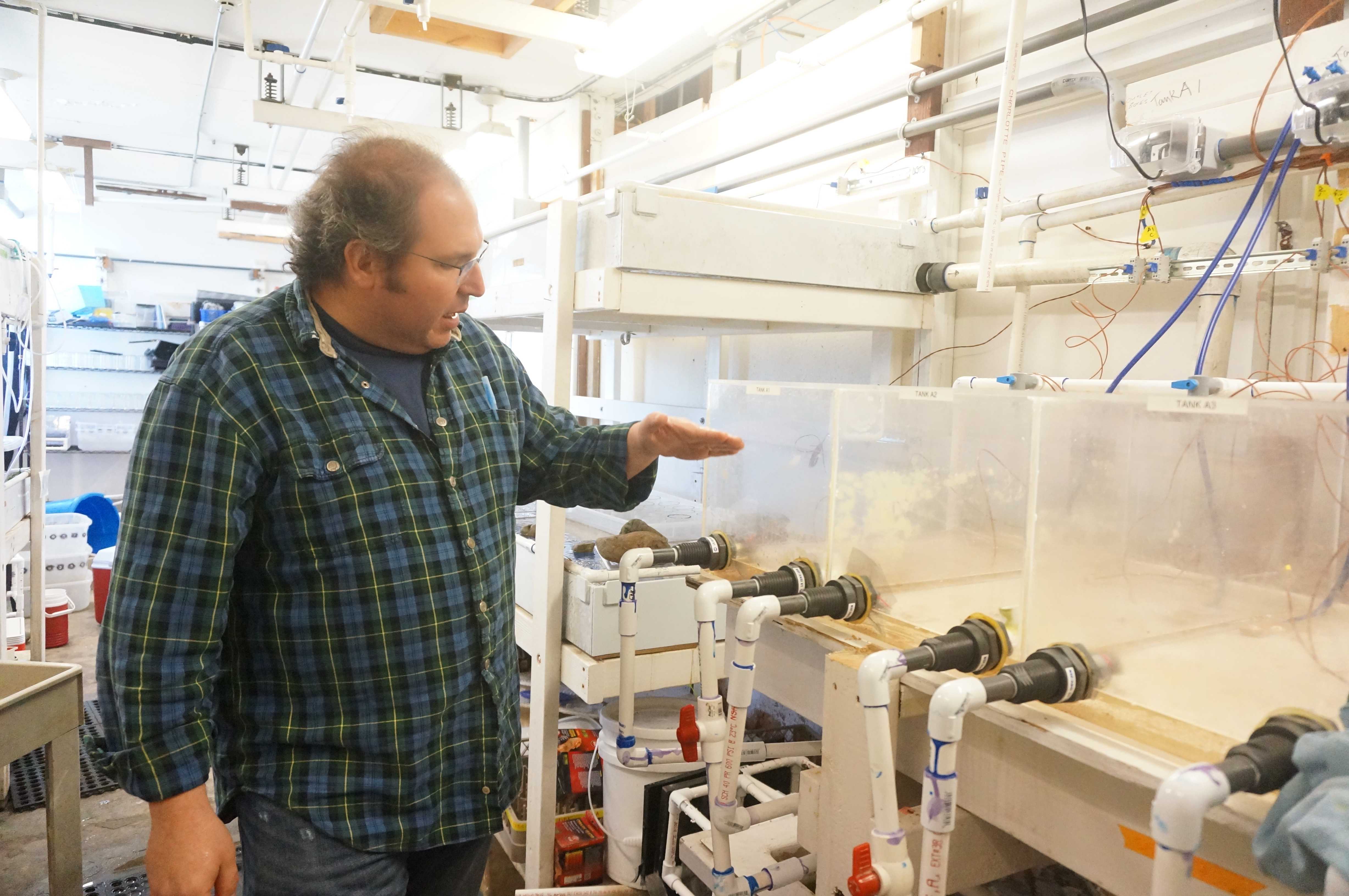 Jonathan Stillman shows how the automatic system of aquarium works in Romberg Tiburon Center on March 31. 