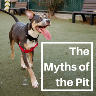 The Myths of the Pit