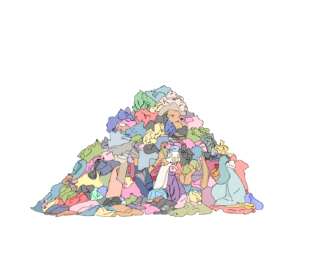 Through the Lens of Sustainable Fashion