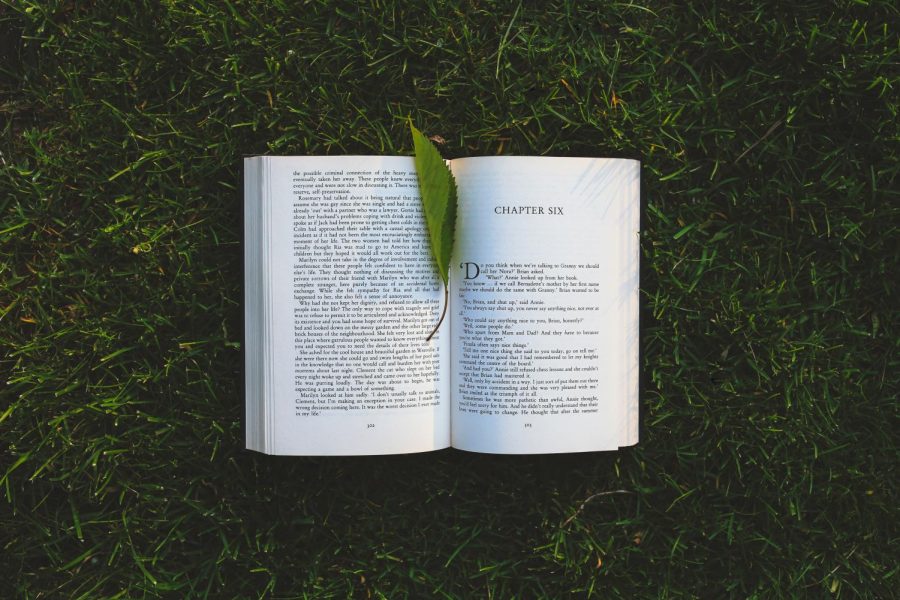 Reading In Shelter