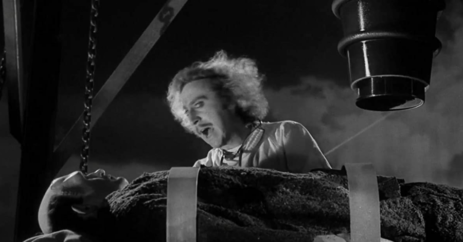 Gene Wilder and Peter Boyle in Young Frankenstein (1974). Photo From IMDb.