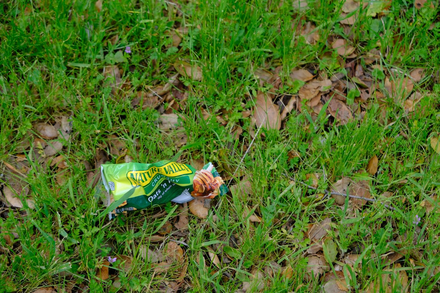 The things we throw away