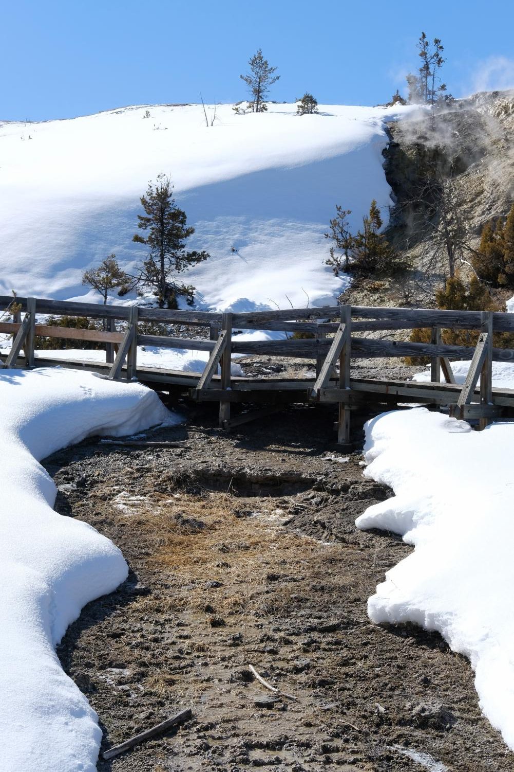 Yellowstone