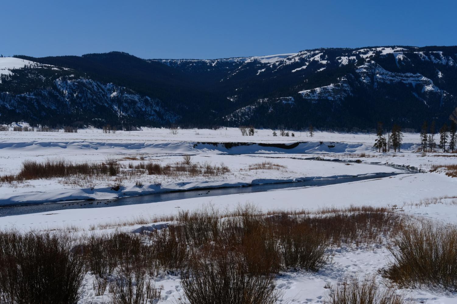 Yellowstone