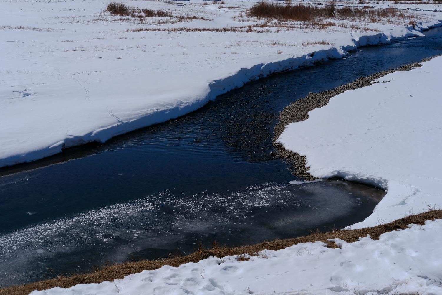 Yellowstone
