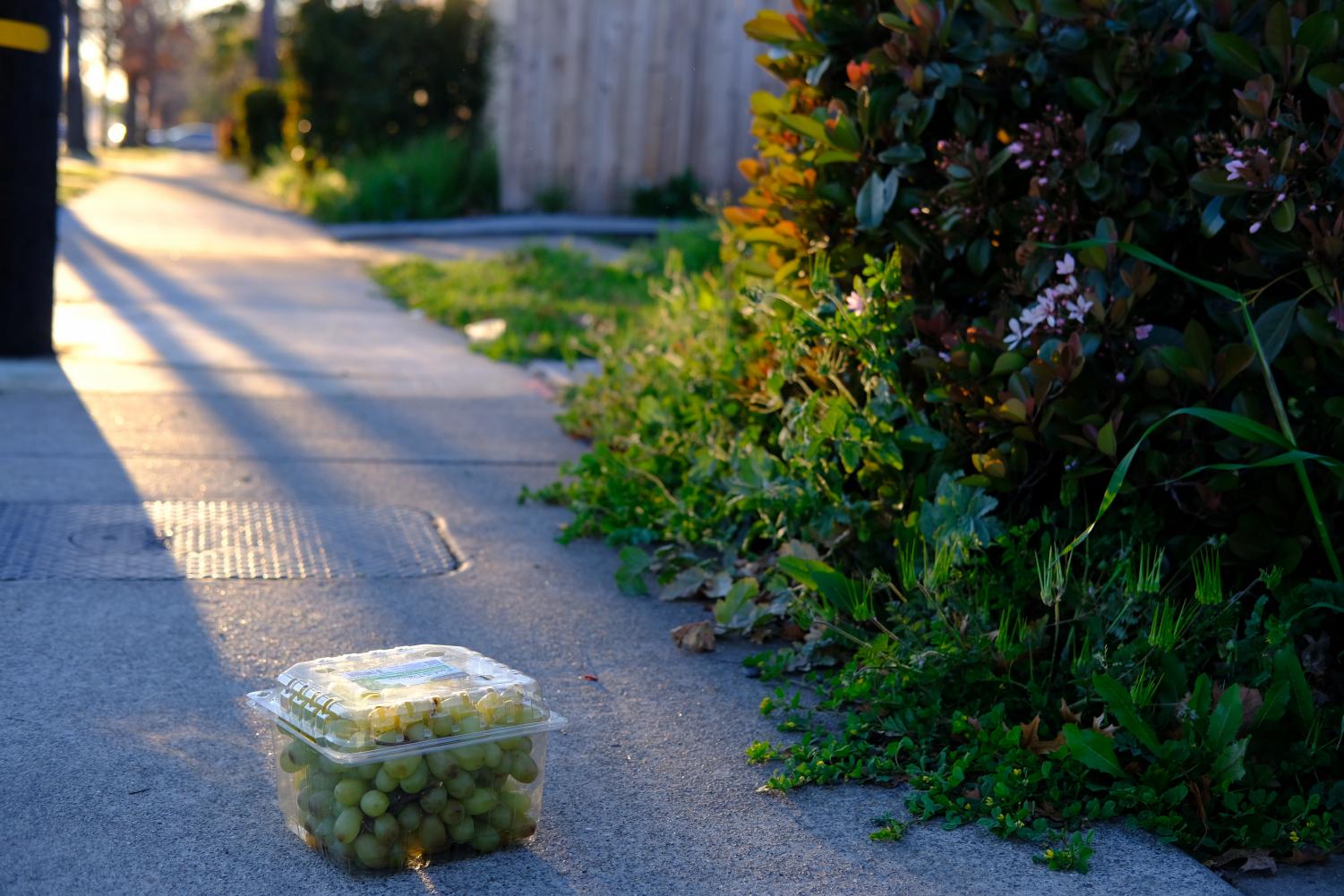 The things we throw away