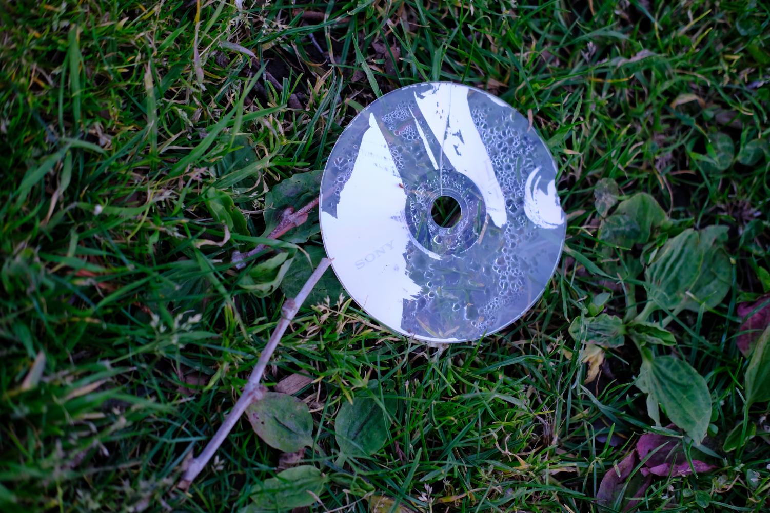 The things we throw away