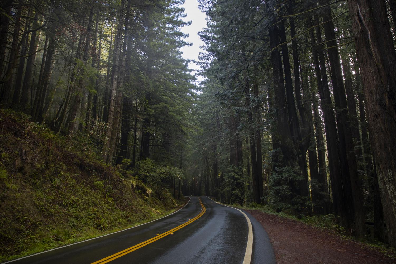 Eight places to visit in Northern California