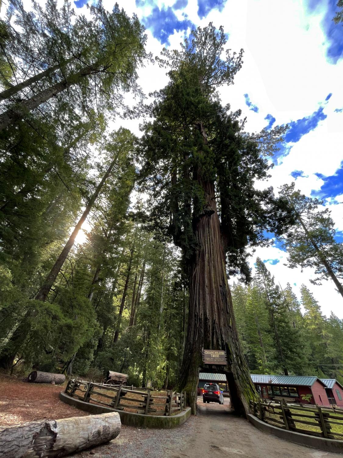 Eight places to visit in Northern California
