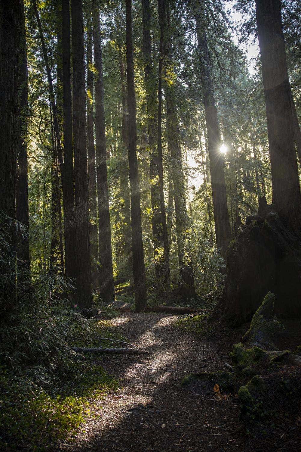 Eight places to visit in Northern California