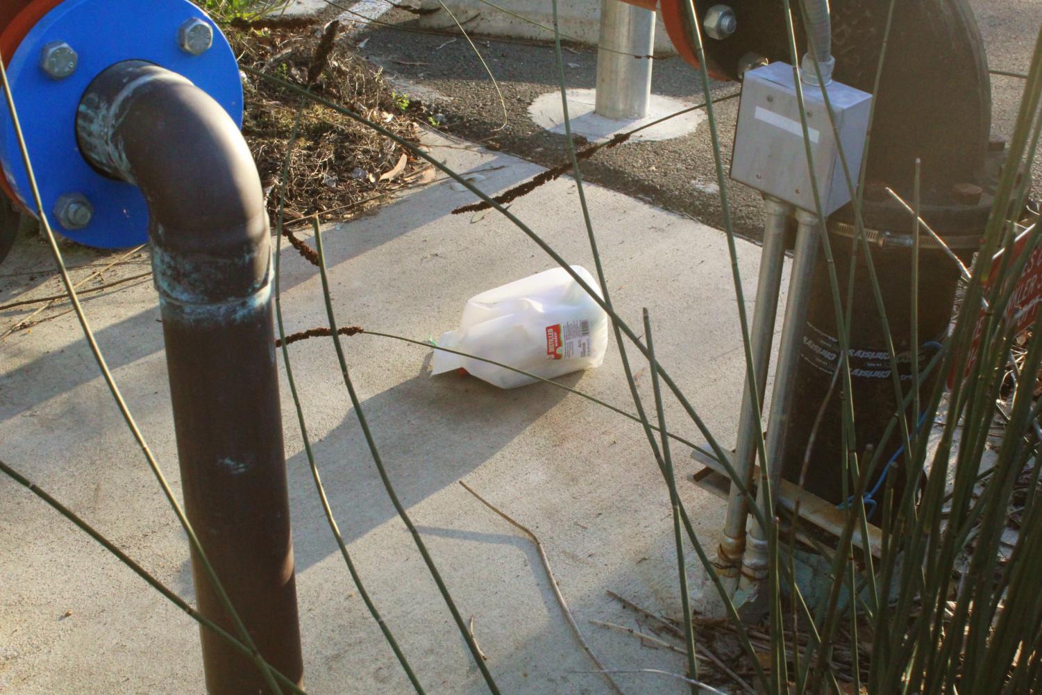 The things we throw away