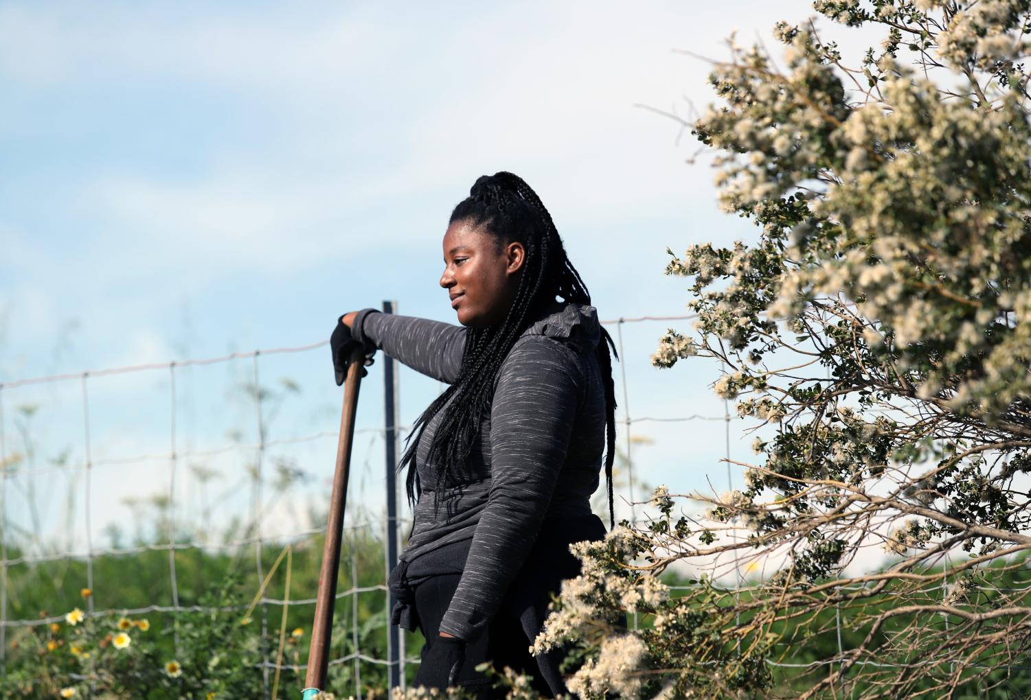 Rooted in Community