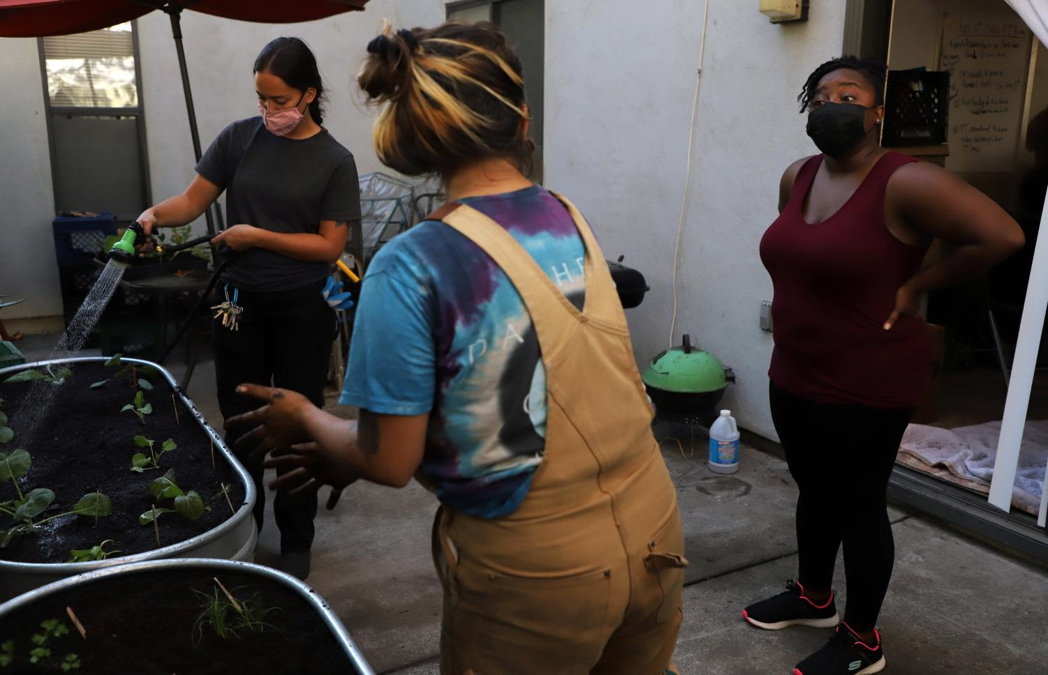 Rooted in Community