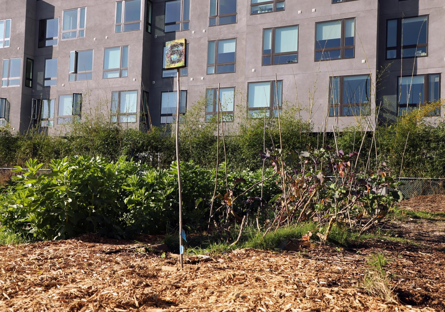 Rooted in Community