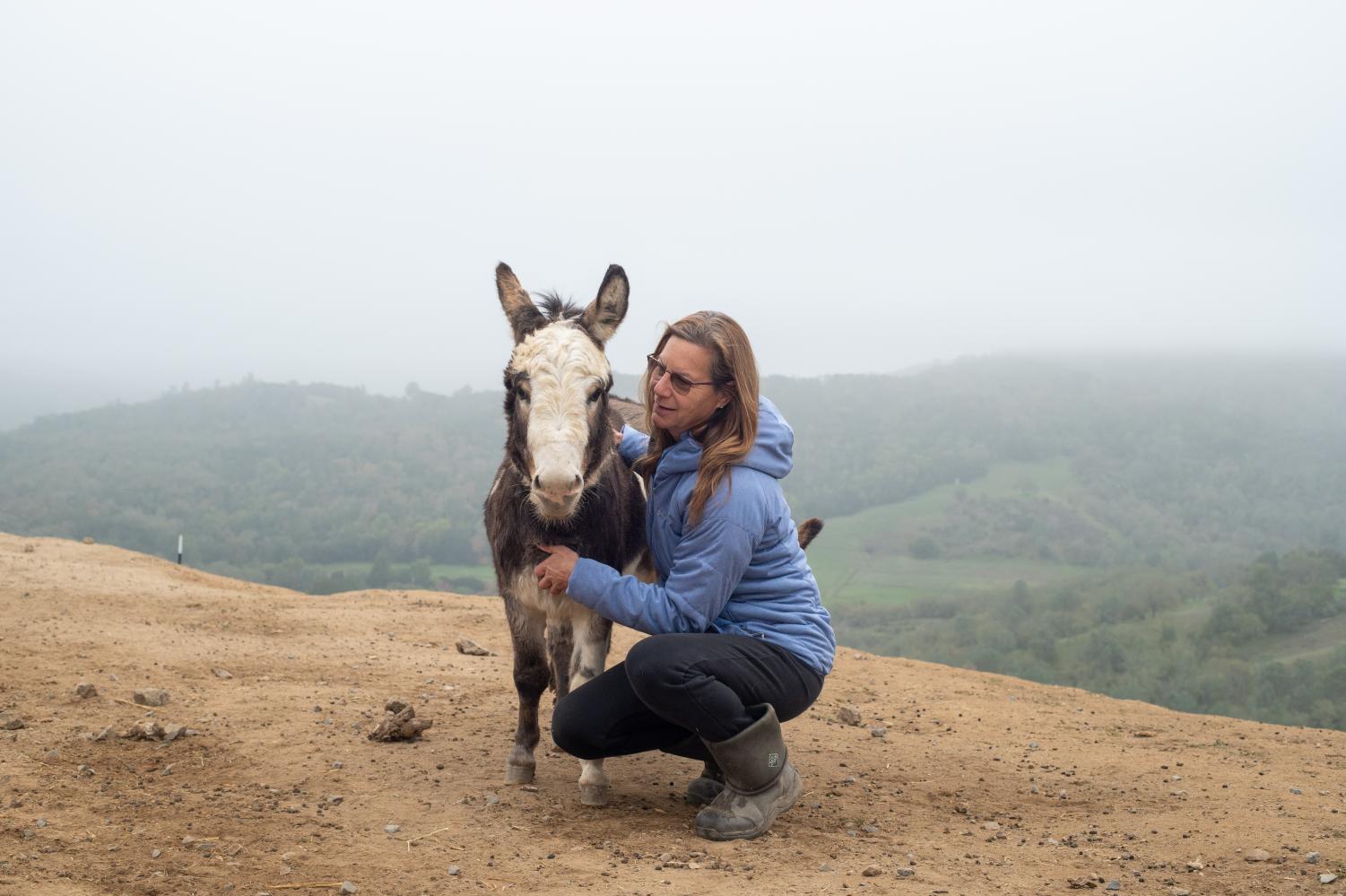 Open Arms and Pastures: Rescue Farms in the Bay Area