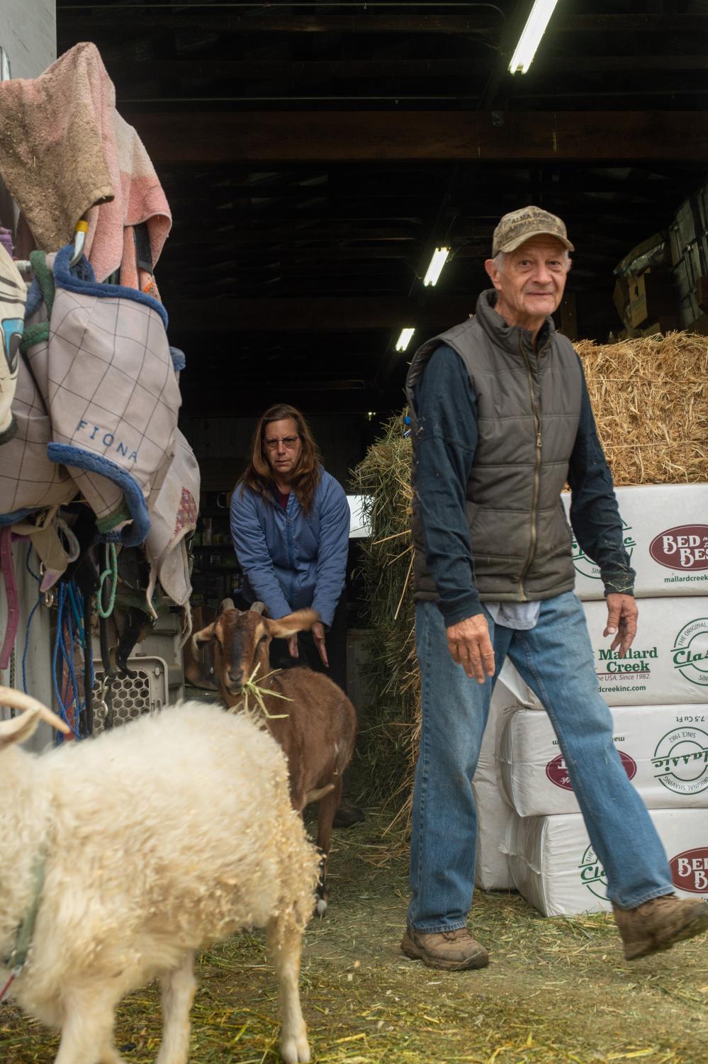 Open Arms and Pastures: Rescue Farms in the Bay Area