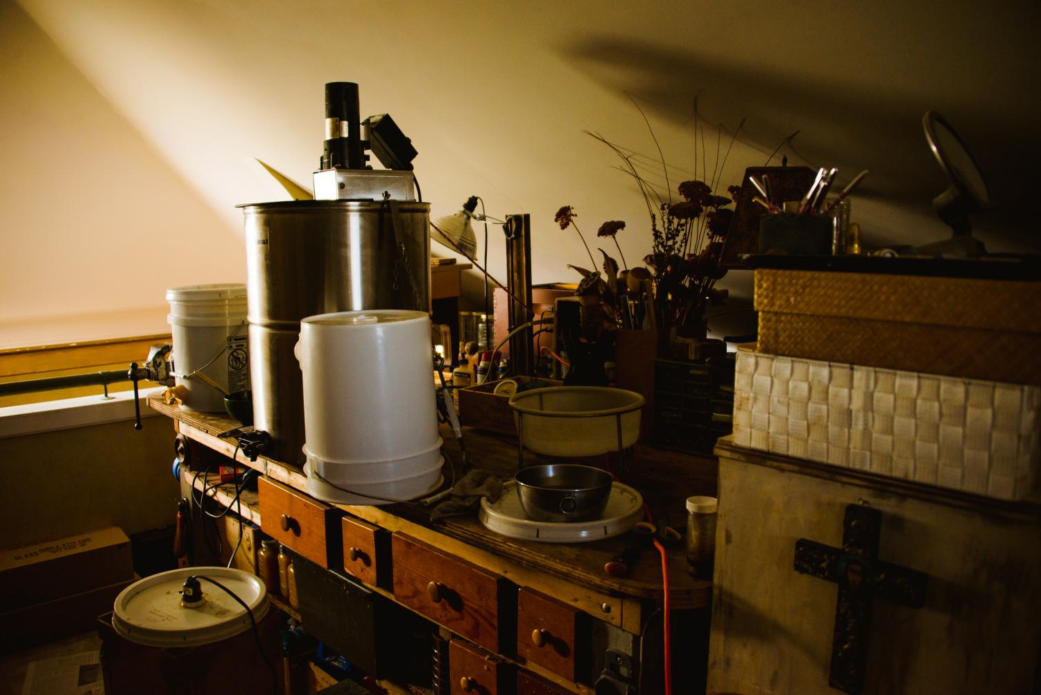 The Buzz Around Urban Beekeeping