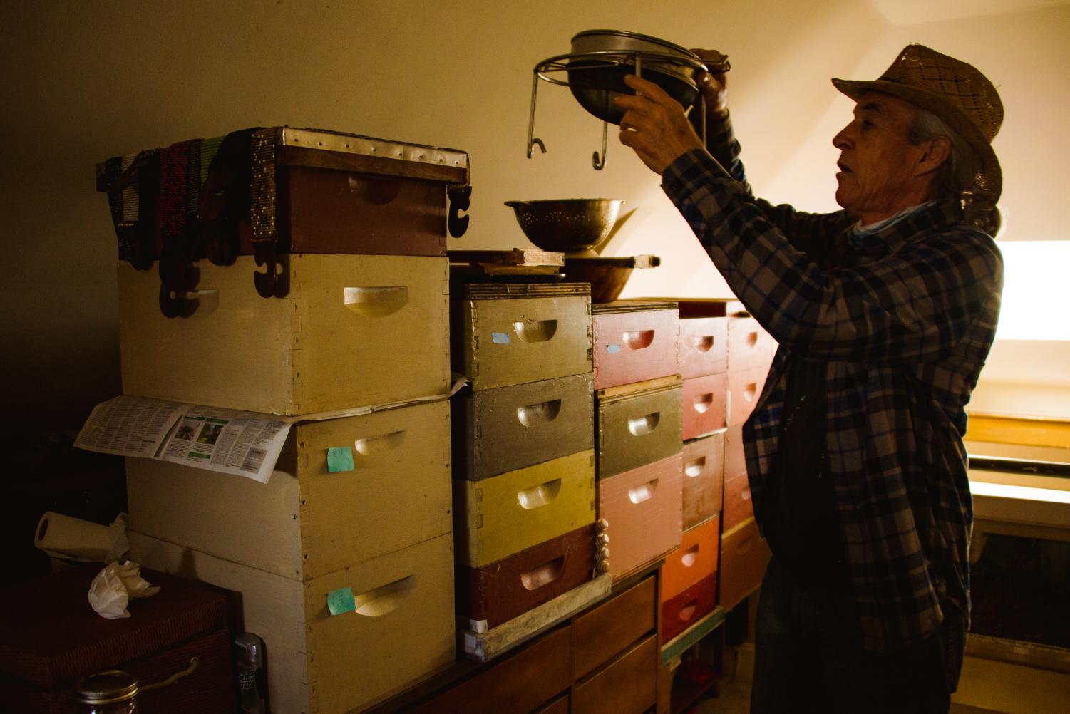 The Buzz Around Urban Beekeeping
