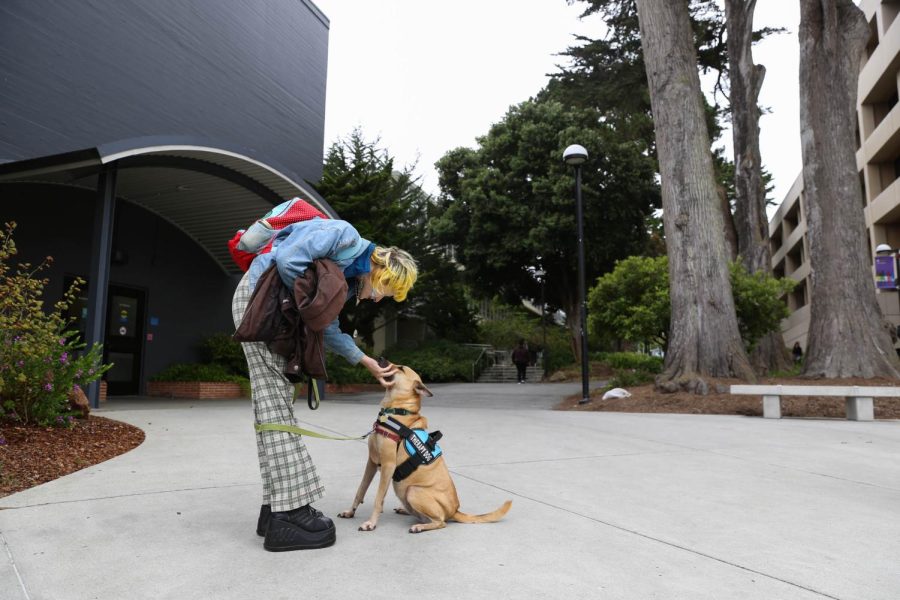Babe Smart Truco pets their emotional support dog Faba while walking on campus at SF State on Tuesday, September 13, 2022. Faba accompanies Smart Truco everywhere, from their home off campus to each class. (Juliana Yamada/Xpress Magazine)
