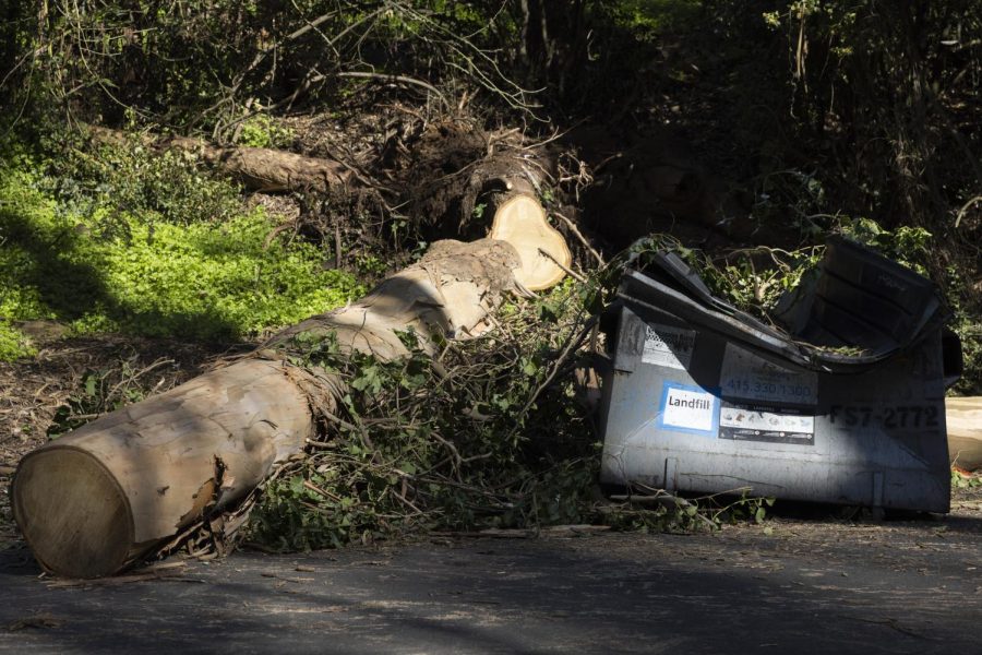 A fallen tree rests next to a crushed dumpster at Stern Grove park in San Francisco Calif., on Wednesday, Feb. 8, 2023. A series of atmospheric rivers in early January brought weeks of periodic rainstorms and high winds that brought destruction to regions of California. (Benjamin Fanjoy/Xpress Magazine)