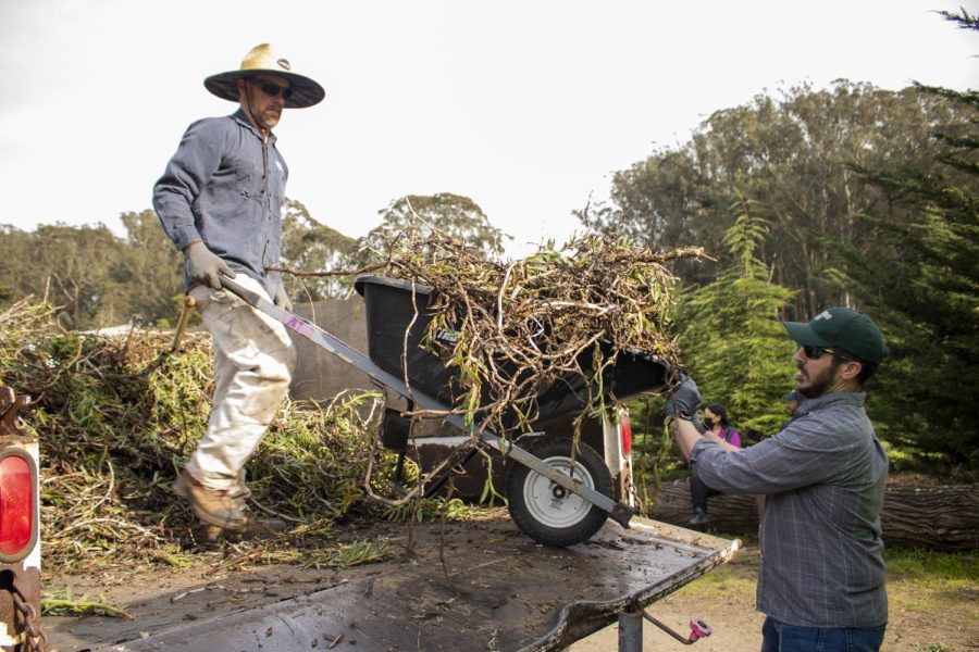 Presidio+forester+Chris+Stark+Weather+%28left%29+helps+to+offload+a+wheelbarrow+full+of+invasive+plant+life+into+the+back+of+a+truck+in+the+Presidio+on+Friday%2C+Feb.+18%2C+2023.+%28Oliver+Michelsen+%2F+Xpress+Magazine%29