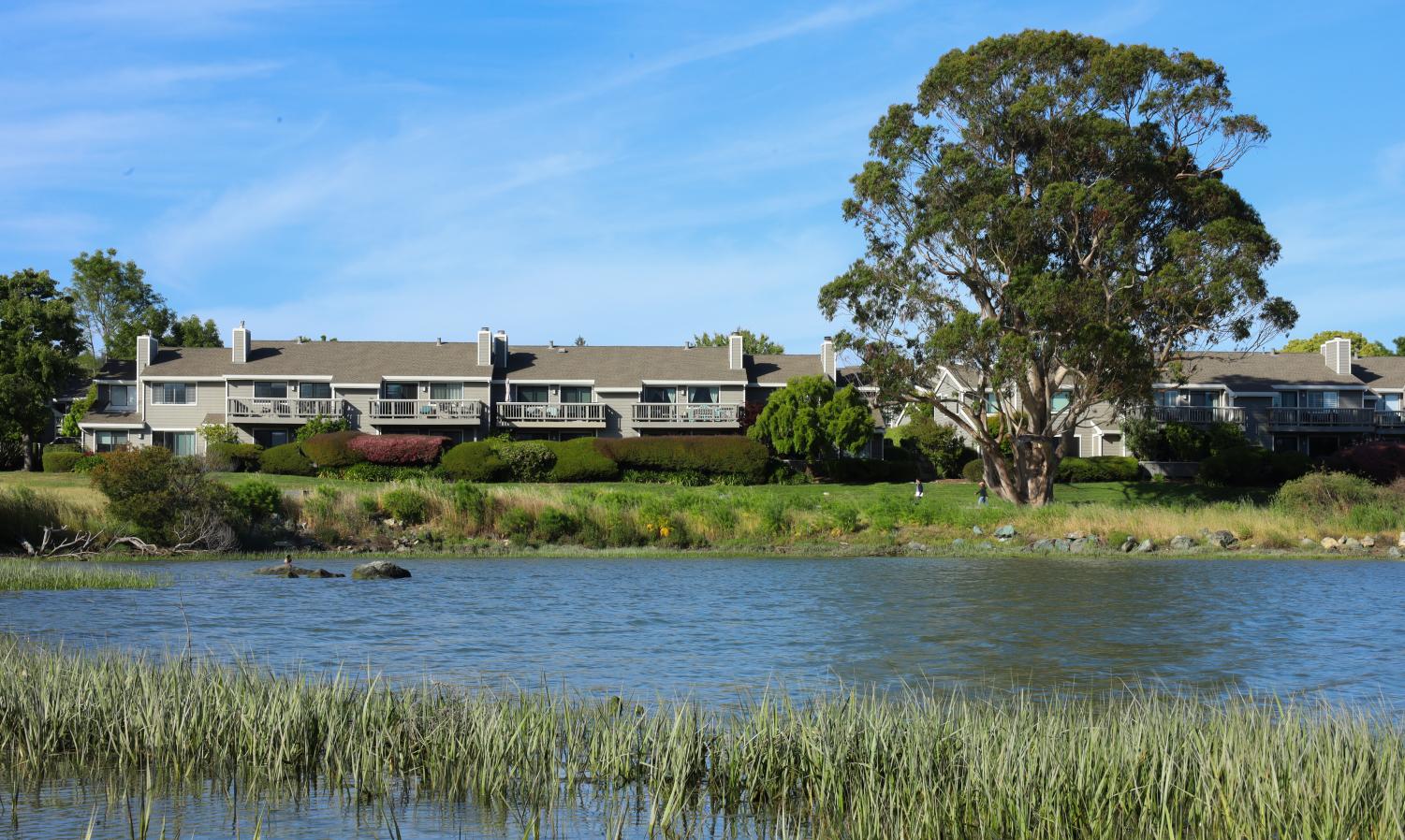 Houses stand behind the Corte Madera Creek in Greenbrae, Calif. on Monday, May 22, 2023. (Gina Castro / Xpress Magazine)