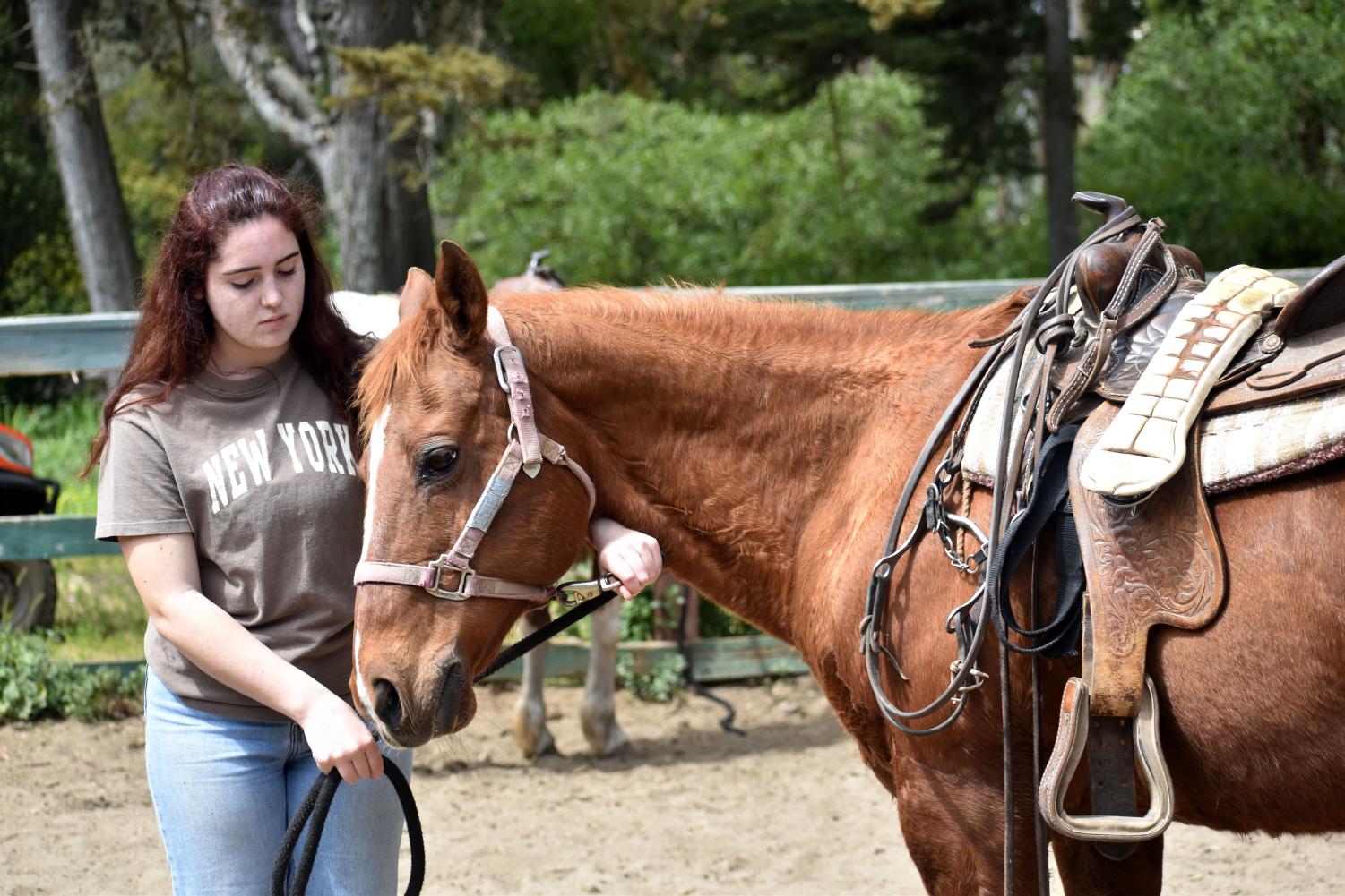 Horsepower in the Park