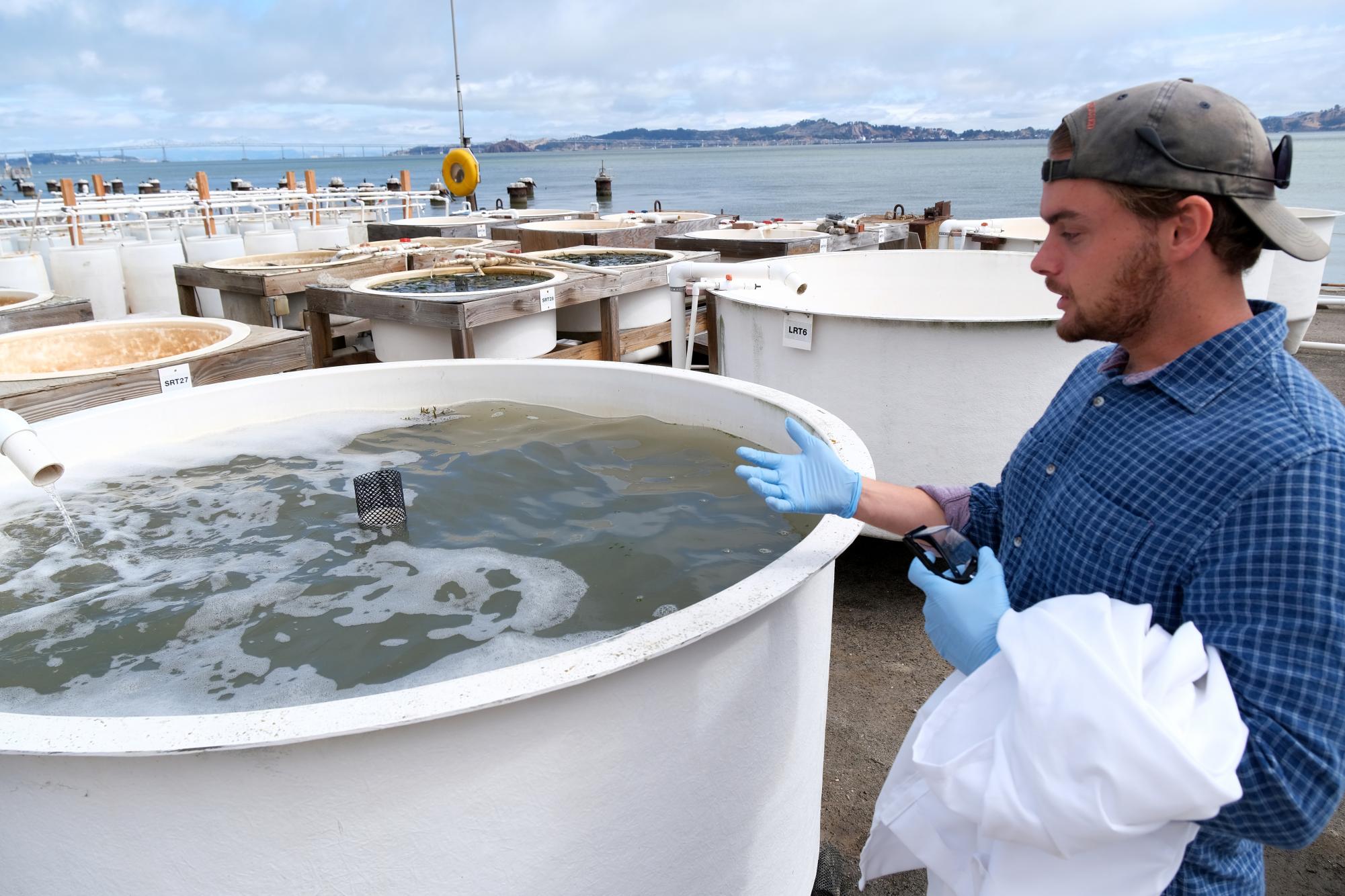 What’s Next For San Francisco State’s Tiburon Campus