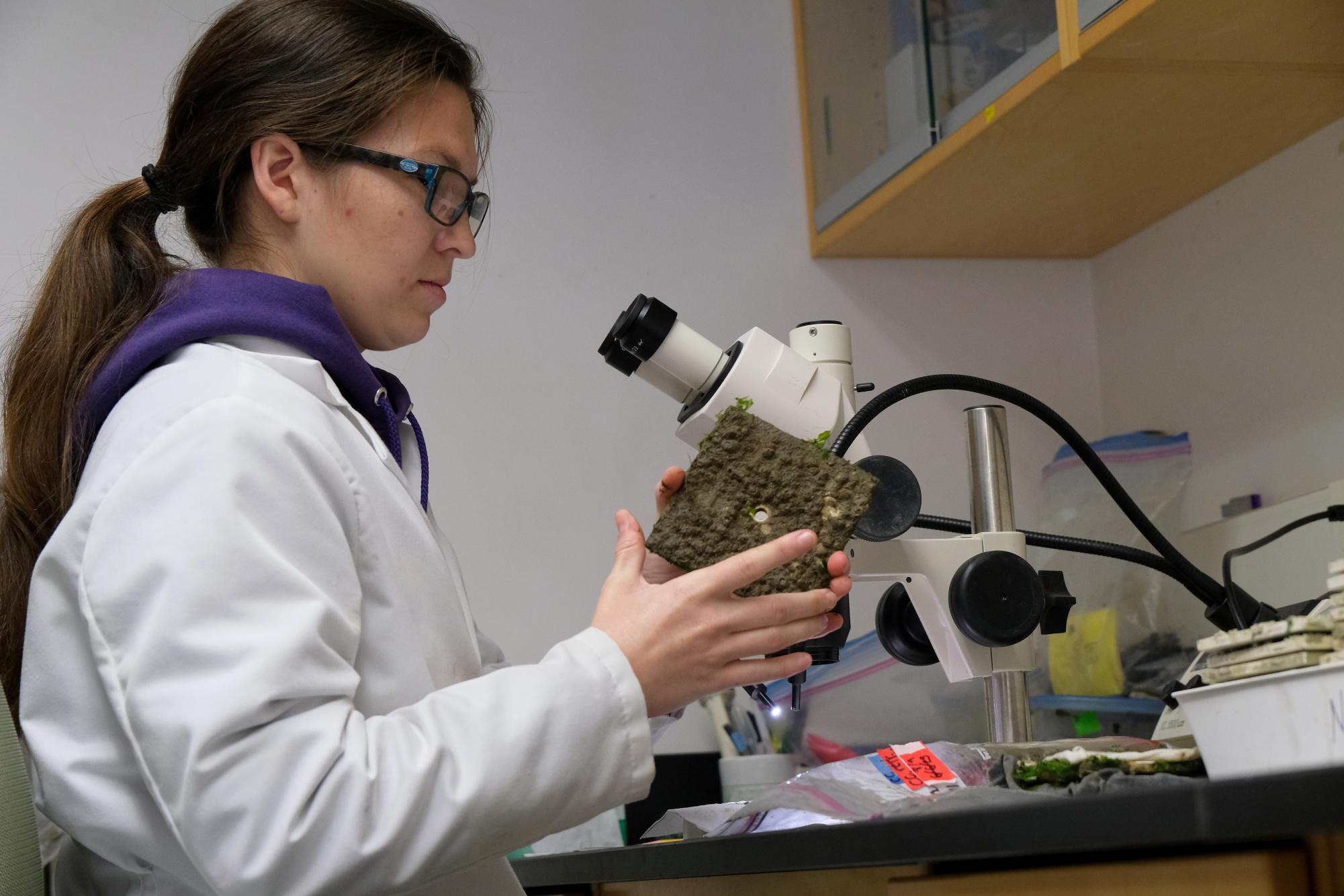 What’s Next For San Francisco State’s Tiburon Campus