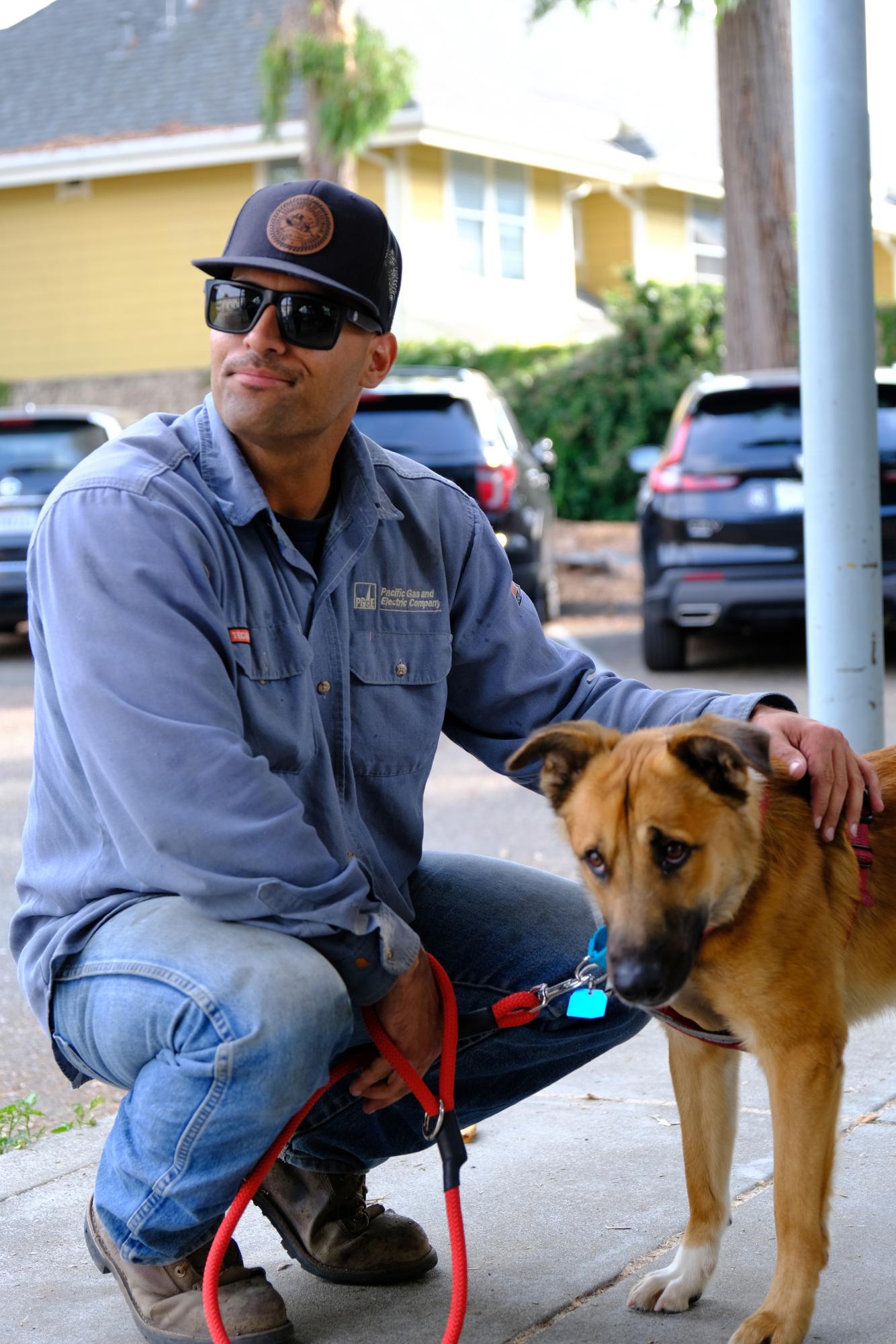 Bay Area Animal Shelters In The Face Of Overcrowding