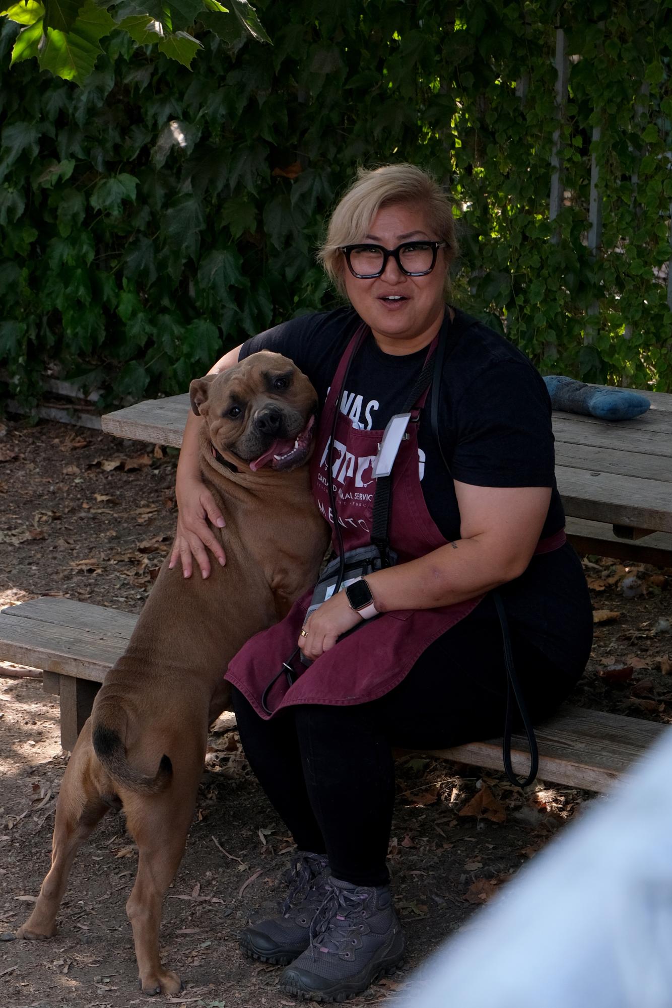 Bay Area Animal Shelters In The Face Of Overcrowding