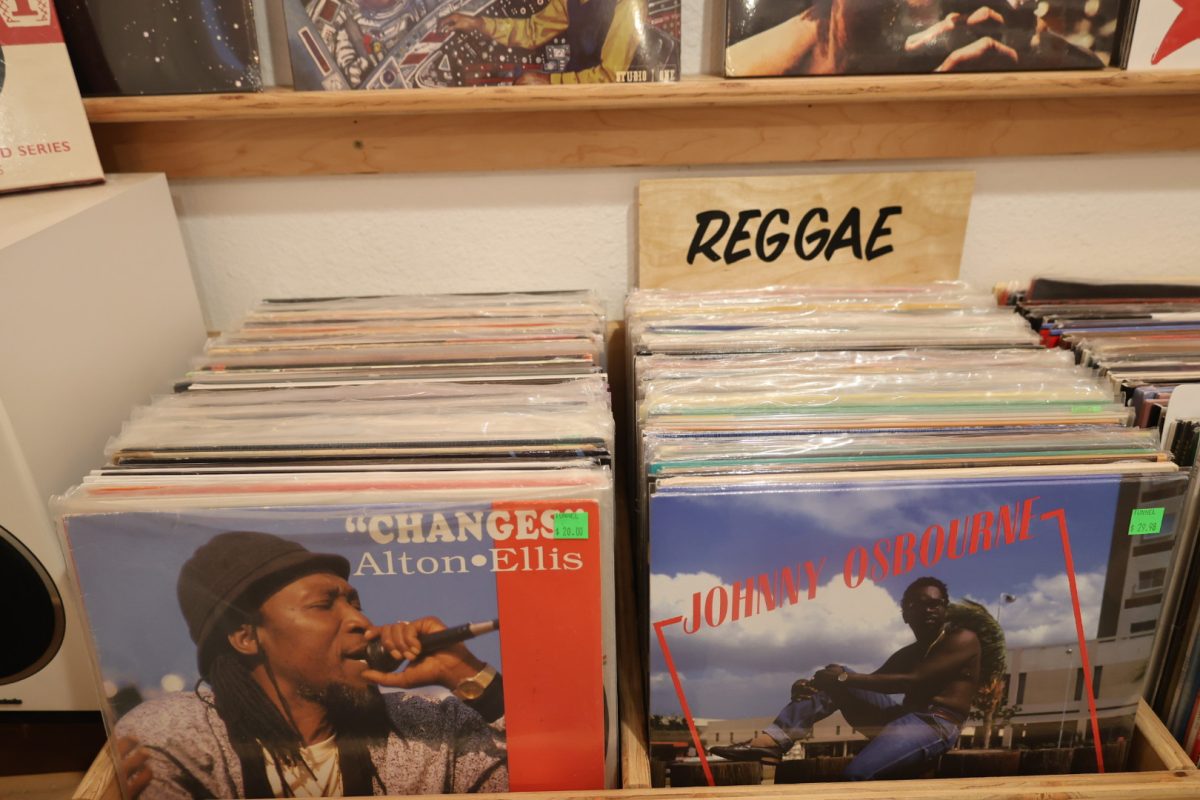 Tunnel Records stands out with its impressive and substantial assortment of reggae records, on Dec. 5, 2023 (Feven Mamo/Xpress magazine)