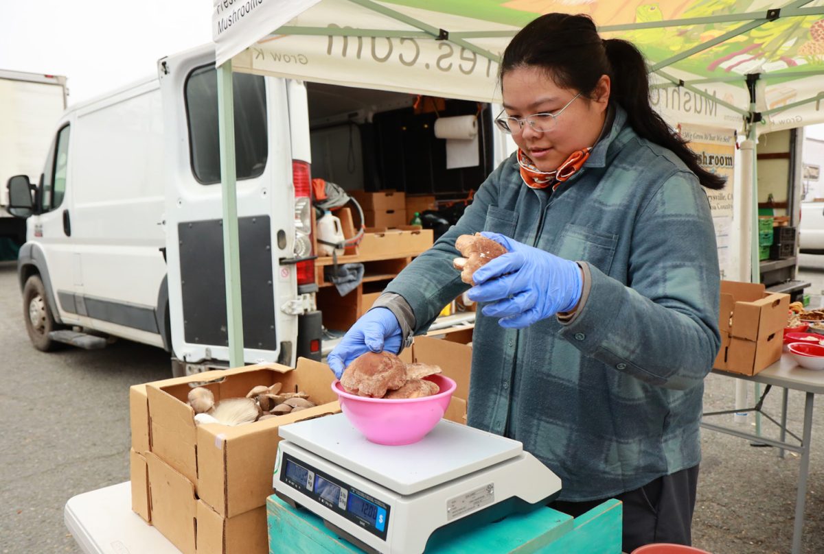 Kim Lee weighs mushrooms at the Mushroom Adventures stand at Stonestown Farmers Market in San Francisco, Calif., on Sunday, Sept. 15, 2024. (Braelyn Furse/Xpress Magazine)