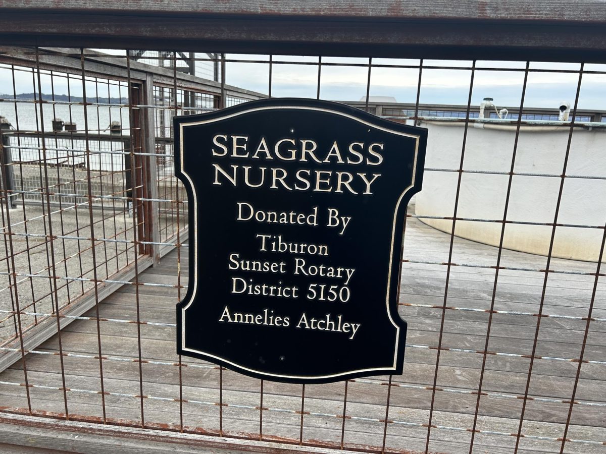A sign at the seagrass nursery touch tank. (Natalie Metcalf / Xpress Magazine) 